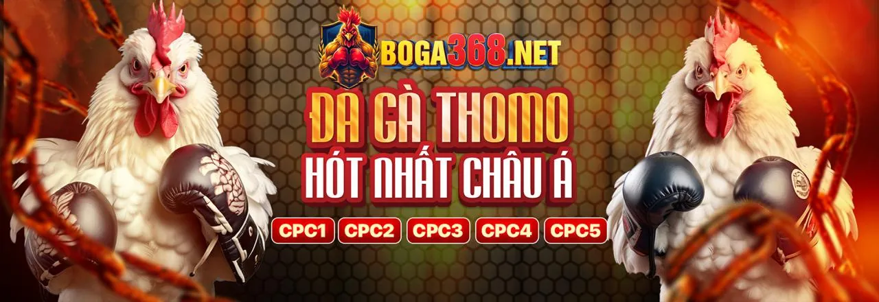 Đá gà Trực Tuyến kim 88